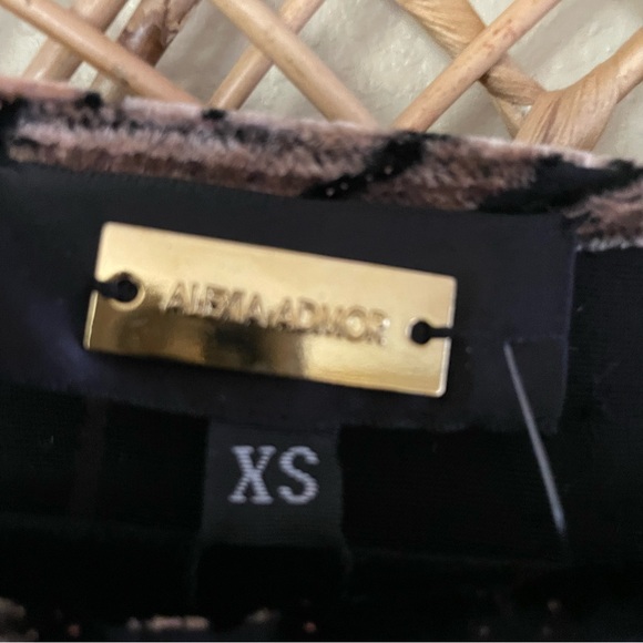 Alexa Admor Velvet Burnout Jacquard Dress Tunic Brown Black Luxe XS NWT B9 - Picture 5 of 11